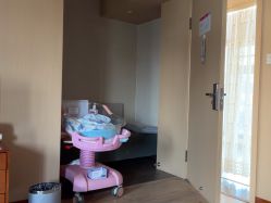 -爱弥儿月子中心(省医院店)