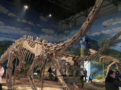 -自贡恐龙博物馆