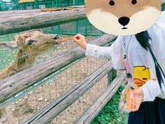 -苏州太湖西山岛开心农场