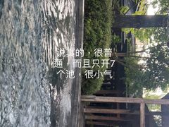 -和顺柏联温泉