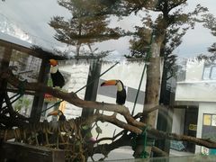 -灵玲国际马戏城