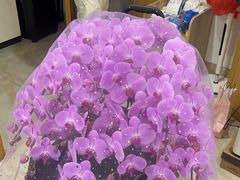 -花神·轻食简餐·咖啡馆·花卉绿植(荷兰花卉小镇店)