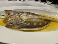-上海小南国(国发店)