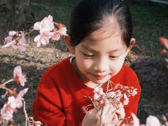 -田野绿世界