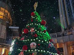 -交通银行前滩31演艺中心