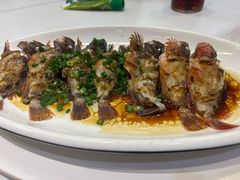 -金海湾海鲜排档(朱家尖店)
