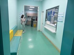 -北京观赏动物医院·24小时大型综合·猫专科·异宠专科