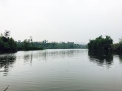 -白鹭湾湿地公园