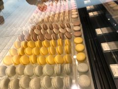 -BLACKSWAN黑天鹅(环球店)