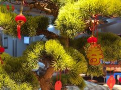 -炊江南·上海菜(国展华漕店)