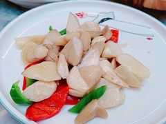 清炒鸡枞菌-蔼若春.传承云南菜(金碧公园店)