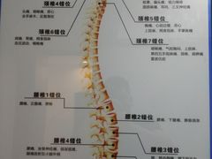 -张钰强中医正骨推拿连锁(华发商都店)