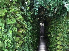 大堂-顶层酒吧ROOF(上海艾迪逊酒店)