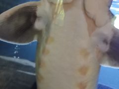 -泉州海丝野生动物世界