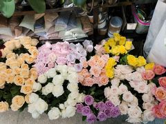 -溪岸路花鸟市场