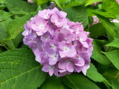 -新天地活力PARK