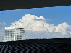 -广州白天鹅宾馆