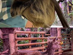 -正佳雨林生态植物园