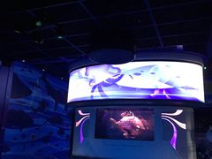 -海底巡游艇:尼莫和好友的海洋世界