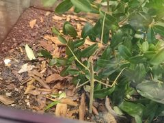 -上海昆虫博物馆