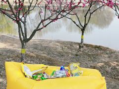 -永定河休闲森林公园