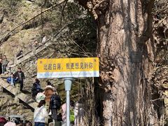 -大慈岩风景区