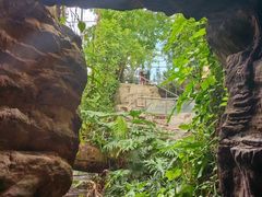 -北京植物园-展览温室