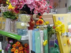 -宝鸡东道花鸟鱼虫市场(吉利花园商场店)