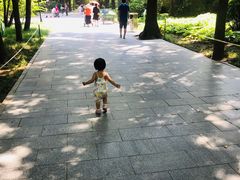 -青年湖公园水上世界