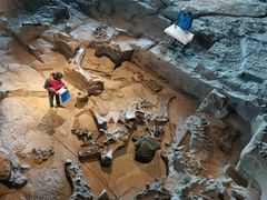 -自贡恐龙博物馆