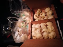 -舒小笼松针小笼包