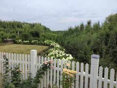 -嘉北郊野公园