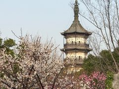 -东湖景区