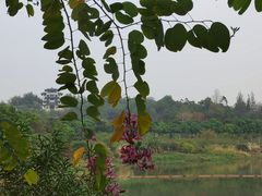 -广东花都湖国家湿地公园