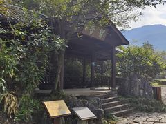 -千岛湖石林