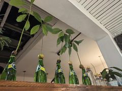 -沏点Trattoria意大利餐厅(新街口店)