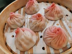 如皋萝卜牛腩小笼包-苏小柳点心·手作小笼包(新街口分院店)