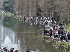-重庆彩云湖湿地公园