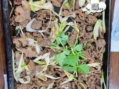 铁板羊肉-清真永恒华威肉饼(潘家园店)