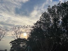 -黄埔油麻山森林公园