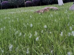 -厦门国家会计学院