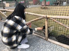 -菊园百果园
