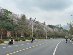 -南宁市凤岭儿童公园