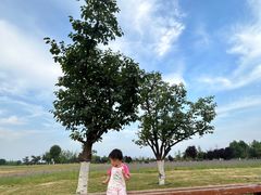 -汉长安城未央宫国家考古遗址公园