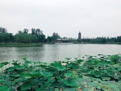 -西海子公园