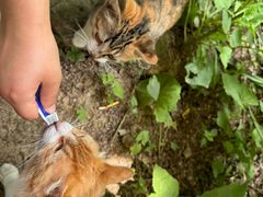 -终南山南五台景区