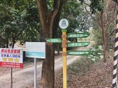 -佛山市三水区大南山森林公园