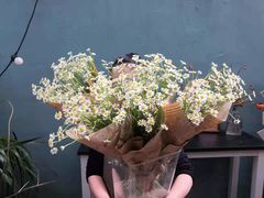 -花诺鲜花(北京路店)