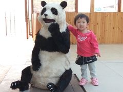 -北京鹿世界主题园