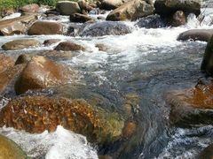 -藏龙百瀑风景区